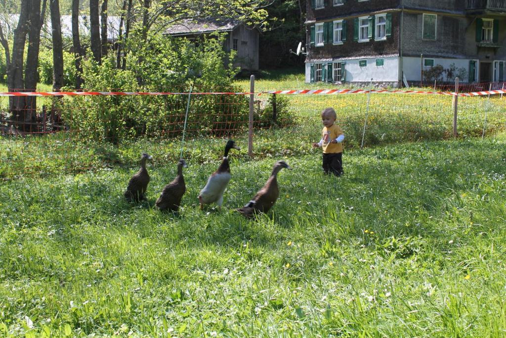 Ferienwohnungen Sutter Au (Vorarlberg) Экстерьер фото